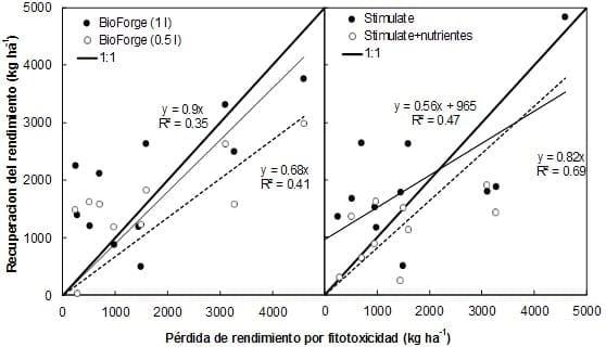 Recuperación de daño fitotóxico sobre el rendimiento causado por herbicidas: Resultados de primeras pruebas en maiz - Image 4