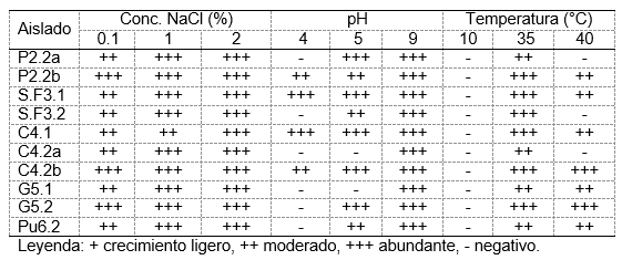 Aislamiento y caracterización de rizobios de crotalaria sp. en el sur del Ecuador - Image 5