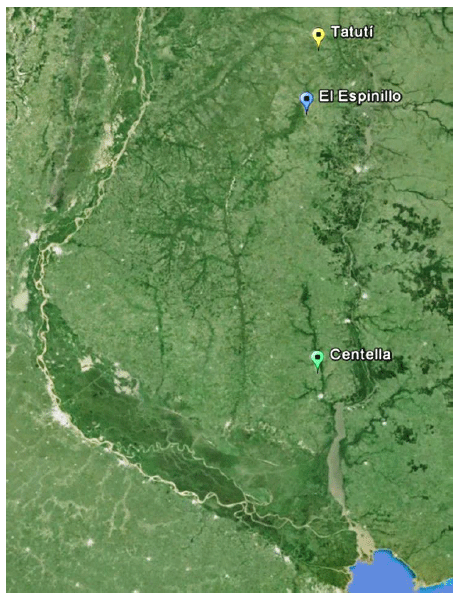 Recría de terneras en monte natural de Entre Ríos suplementadas con maíz y urea protegida en comederos de autoconsumo - Image 1