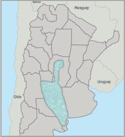Gramíneas forrajeras para el subtrópico y el semiárido central de la Argentina - Image 27
