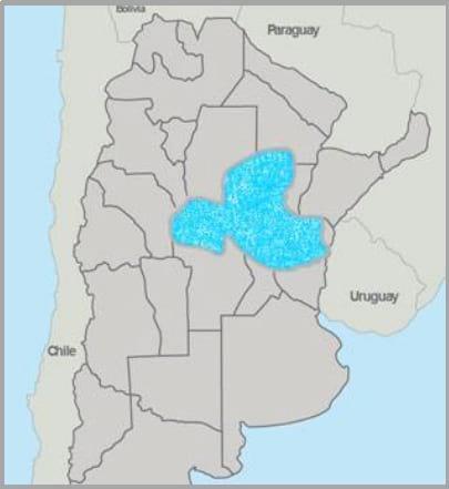 Gramíneas forrajeras para el subtrópico y el semiárido central de la Argentina - Image 45