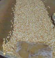 Aflatoxinas en las tortillas de maíz - Image 3