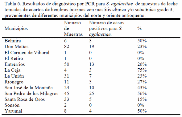Estimación de la prevalencia de Streptoccoccus agalactiae, diagnosticado por la técnica PCR en hatos del Norte y Oriente de Antioquia, Colombia - Image 1