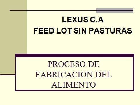 lexus feed
