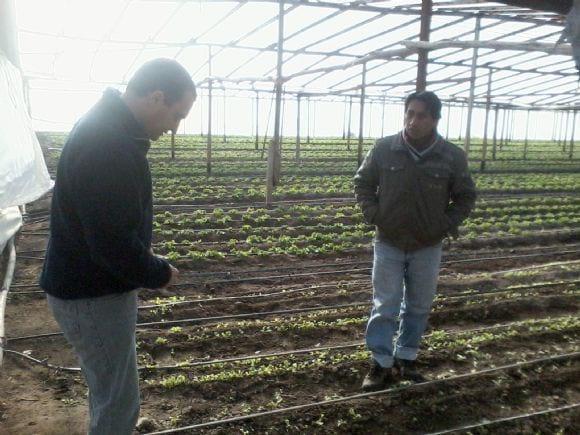 asesoramiento a productores hortícolas junto a otros extensionistas