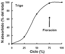 Balance de Nitrógeno en el cultivo de Trigo - Image 3