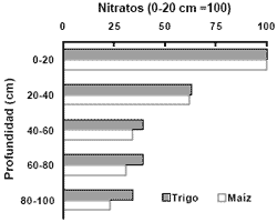Balance de Nitrógeno en el cultivo de Trigo - Image 7