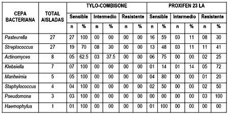Evaluación comparativa de la efectividad antibiótica del Tylo – Combisone® (tilosina+gentamicina) y Proxifen® 23 L.A.(oxitetraciclina) contra cepas bacterianas causantes de enfermedad respiratoria en bovinos - Image 8