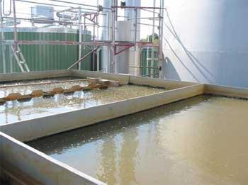 Tratamiento biológico de aguas residuales aplicable a la industria avícola - Image 12
