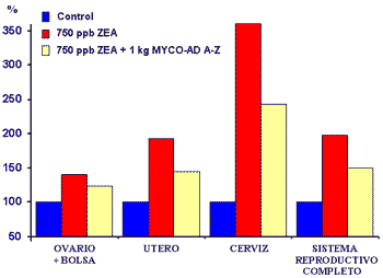  Evaluación de la eficacia de un filosilicato purificado comercial para reducir la toxicidad de la zearalenona en cerditas. - Image 1