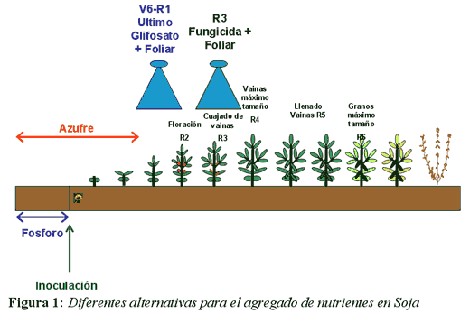 Efecto De La Fertilización Foliar Complementaria en la Recuperación Post-Estrés de Soja afectada por Bajas Temperaturas - Image 1