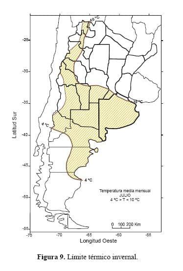¿Es posible la producción de Thlaspi arvense en Argentina para obtener biodiesel? - Image 6