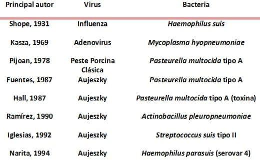 Interacciones virus – bacterias - Image 1