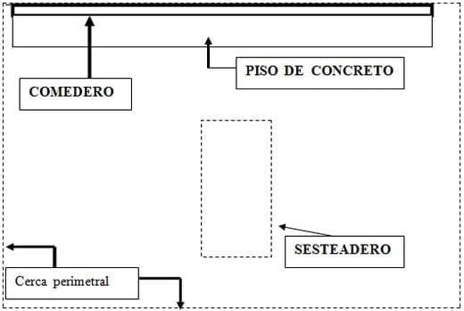 Una aproximación a la Planificación de Instalaciones en una ganadería intensiva de producción lechera en el trópico - Image 2