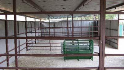 Equipos e instalaciones en las empresas de ganado ovino. Higiene y bienestar animal.- Gestión técnico económica de las empresas ovinas - Image 7