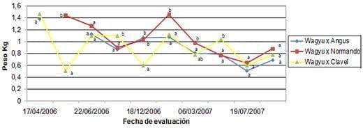 Evaluación productiva de la raza Wagyu en cruzamiento con diferentes razas bovinas presentes en Chile - Image 1