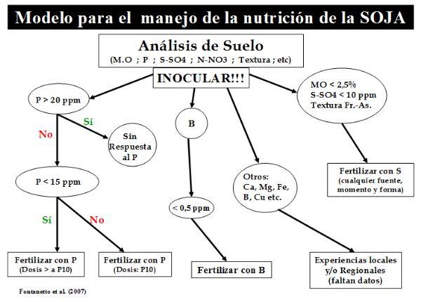 Manejo de la fertilización de la soja en la region pampeana norte y en el NOA argentino - Image 24