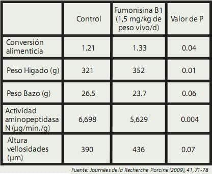 Efectos de la Fumonisina B1 sobre la productividad y la función intestinal en lechones - Image 1