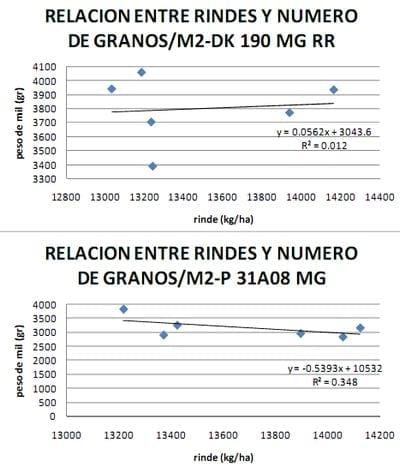 Ensayo de interacción entre densidad de siembra, Híbridos y fertilización nitrogenada en Maíz - Image 13