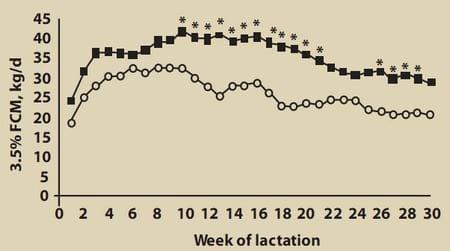 Efectos del enfriamiento de vacas bajo estrés calórico durante el período seco sobre la producción subsecuente de leche - Image 1