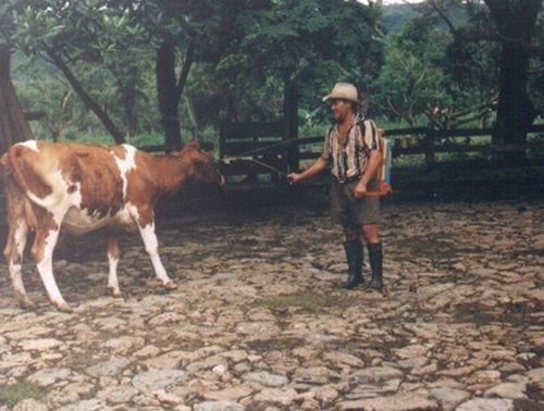 Importancia de los factores socioculturales en el desarrollo de la resistencia a acaricidas de plagas de bovinos con énfasis en Colombia - Image 1