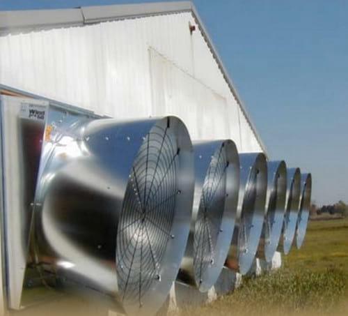 Importancia del proceso de selección de ventiladores para sistemas de ventilación por túnel en casetas avícolas - Image 2