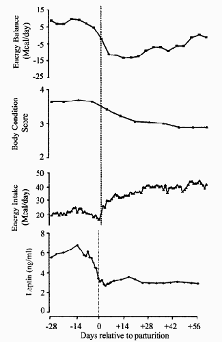 Aspectos Nutricionales relacionados con el intervalo Parto - Celo en Vaca de Cría - Image 2