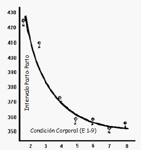 Aspectos Nutricionales relacionados con el intervalo Parto - Celo en Vaca de Cría - Image 9