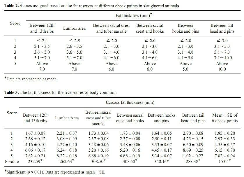 Desarrollo del sistema de calificación de condición corporal en búfalas murrah: Validación a través de ultrasonografía de acuerdo a la reserva de grasa corporal - Image 5