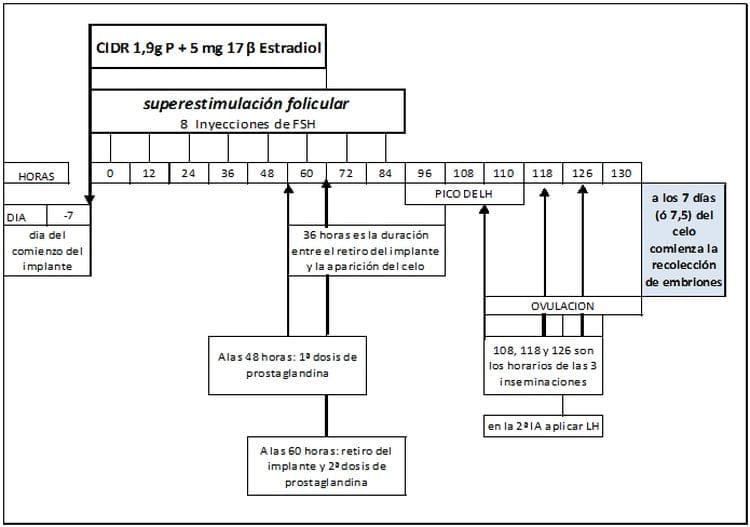 Respuesta a la superovulacion y calidad de los embriones en bovinos lecheros de elevado merito genetico, Uso de diferentes protocolos - Image 1