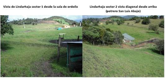 Experiencia con PRV en la ganadería Lindarhaja para producción de leche con ganado Holstein puro y su cruce con sueco rojo en el municipio de Guasca (Cundimarca, Colombia) - Image 3
