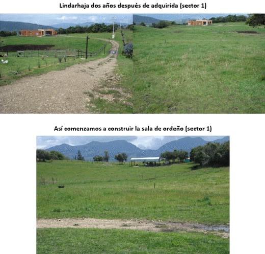 Experiencia con PRV en la ganadería Lindarhaja para producción de leche con ganado Holstein puro y su cruce con sueco rojo en el municipio de Guasca (Cundimarca, Colombia) - Image 2