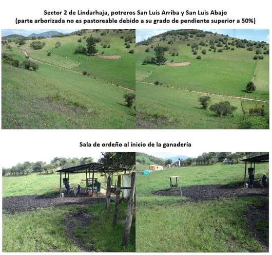 Experiencia con PRV en la ganadería Lindarhaja para producción de leche con ganado Holstein puro y su cruce con sueco rojo en el municipio de Guasca (Cundimarca, Colombia) - Image 4