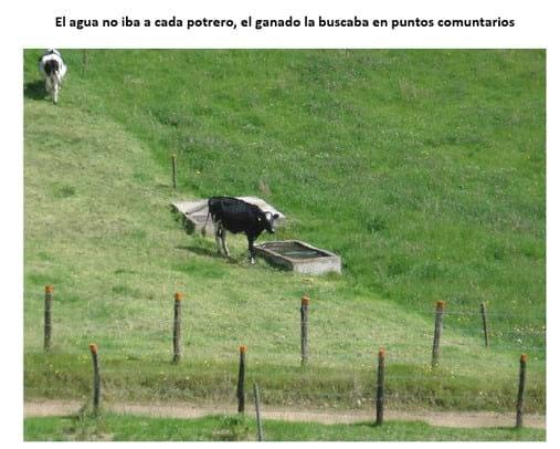 Experiencia con PRV en la ganadería Lindarhaja para producción de leche con ganado Holstein puro y su cruce con sueco rojo en el municipio de Guasca (Cundimarca, Colombia) - Image 14