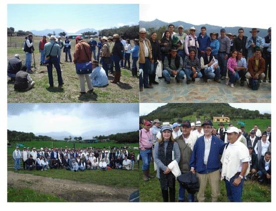 Experiencia con PRV en la ganadería Lindarhaja para producción de leche con ganado Holstein puro y su cruce con sueco rojo en el municipio de Guasca (Cundimarca, Colombia) - Image 29