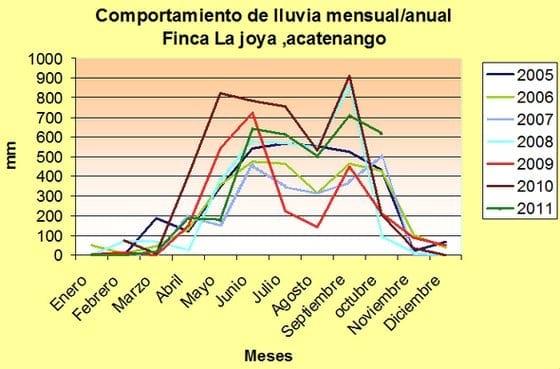 Avance e Infestación severa de la Roya Amarilla (Hemileia vastratix) en Café - Image 19