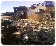 Tratamiento de residuos Avícolas- Compost - Image 4