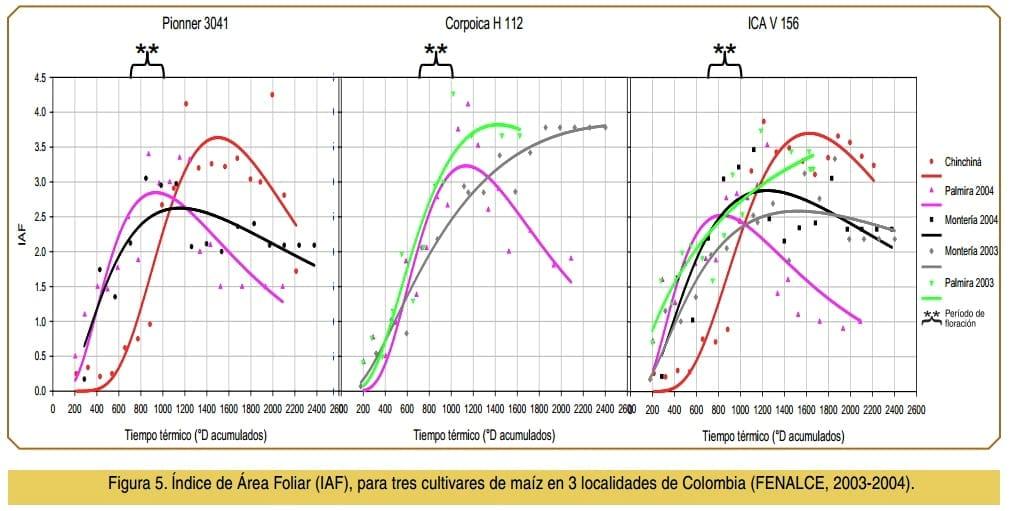 Evaluación de la producción de biomasa de maíz en condiciones del trópico colombiano - Image 9