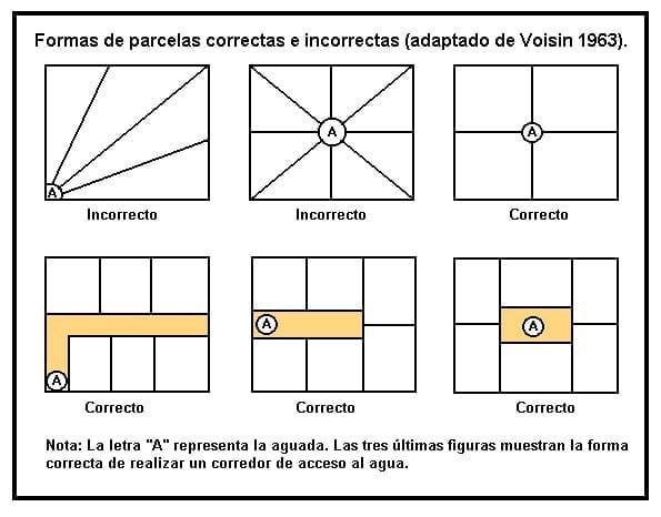 Calculo y manejo en Pastoreo Controlado II: Pastoreo rotativo y en franjas. - Image 4