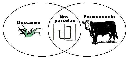 Calculo y manejo en Pastoreo Controlado II: Pastoreo rotativo y en franjas. - Image 1