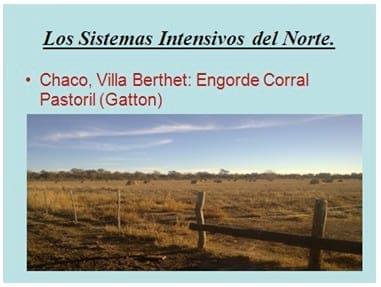 Los forrajes y la alimentación para intensificar la produccion de carne del norte argentino - Image 21