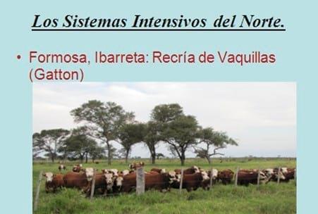 Los forrajes y la alimentación para intensificar la produccion de carne del norte argentino - Image 15