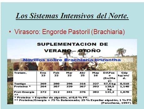 Los forrajes y la alimentación para intensificar la produccion de carne del norte argentino - Image 17