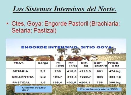 Los forrajes y la alimentación para intensificar la produccion de carne del norte argentino - Image 16