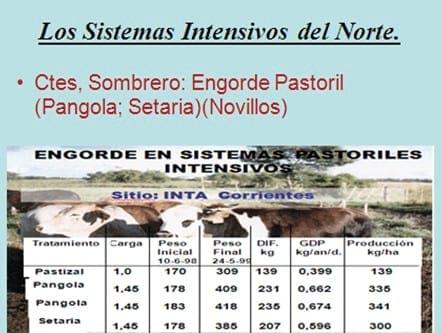 Los forrajes y la alimentación para intensificar la produccion de carne del norte argentino - Image 13