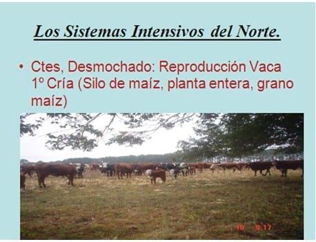 Los forrajes y la alimentación para intensificar la produccion de carne del norte argentino - Image 14