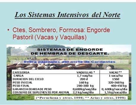 Los forrajes y la alimentación para intensificar la produccion de carne del norte argentino - Image 18