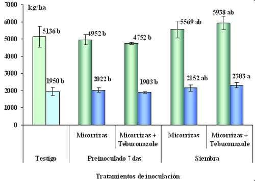 Inoculación con microorganismos con efecto promotor de crecimiento (pgpm) en trigo. Conocimientos actuales y experiencias realizadas en la región pampeana argentina - Image 6