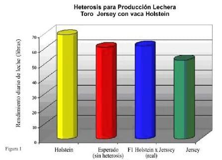 Análisis de Cruza entre Vacas Lecheras (ABS México) - Image 1