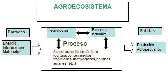 Los ecosistemas agrícolas: necesidad de su conservación - Image 1